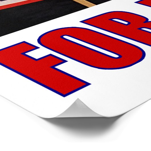 Sock Monkey voor President Poster (Hoek)