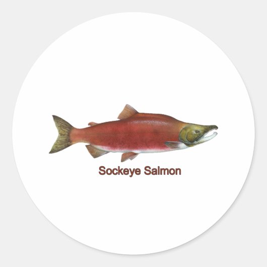 Sockeye - Rode zalm (titel) Ronde Sticker (Voorkant)
