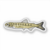 Sockeye Salmon Fry Sticker (Voorkant)