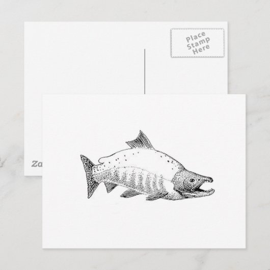 Sockeye Salmon line Art Briefkaart (Voorkant / Achterkant)