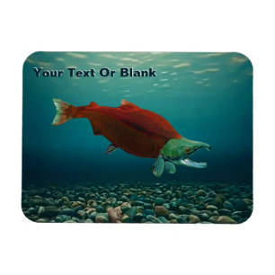 Sockeye Salmon Magneet