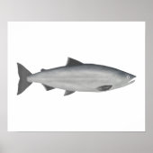 Sockeye Salmon - Ocean Phase Poster (Voorkant)