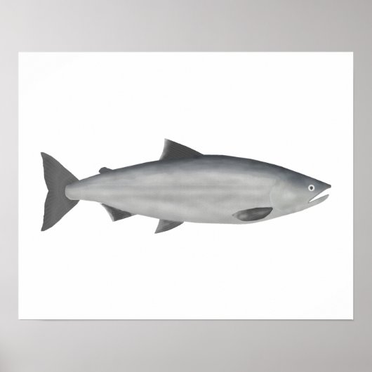 Sockeye Salmon - Ocean Phase Poster (Voorkant)
