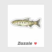 Sockeye Salmon Parr Sticker (Vel)