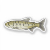 Sockeye Salmon Parr Sticker (Voorkant)