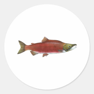 Sockeye Salmon Ronde Sticker