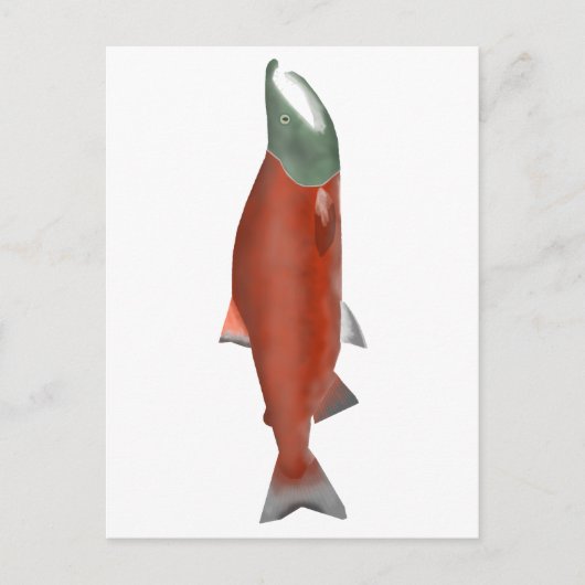 Sockeye Salmon - Zachte Fase Briefkaart (Voorkant)