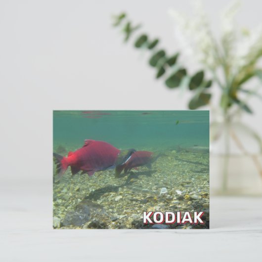 Sockeye zalm in Kodiak, Alaska Briefkaart (Staand voorkant)