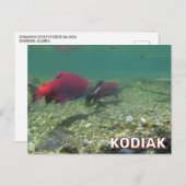 Sockeye zalm in Kodiak, Alaska Briefkaart (Voorkant / Achterkant)