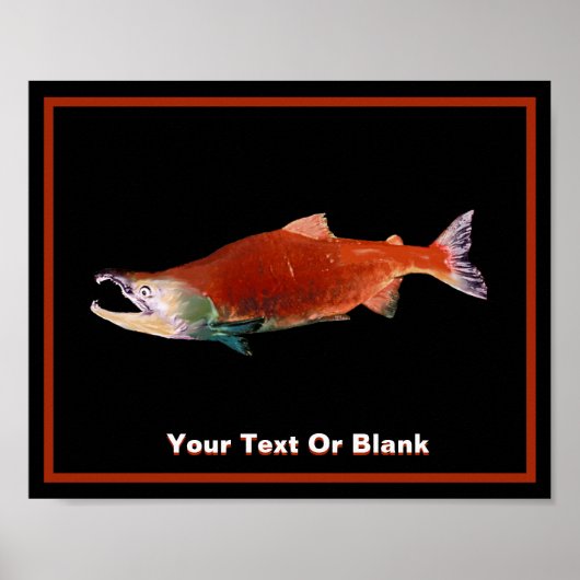 Sockeye Zalm in Rood Poster (Voorkant)