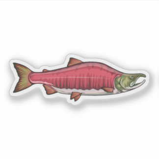 Sockeye Zalm Paaien Fase 2 Sticker