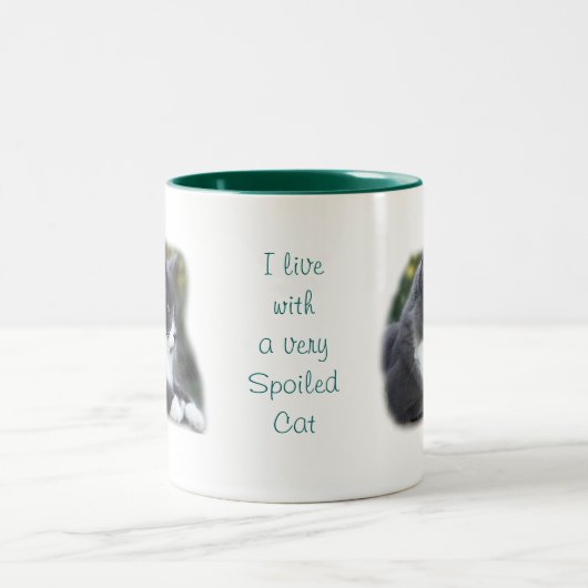 Socks Cat Mok - pas aan (Center)