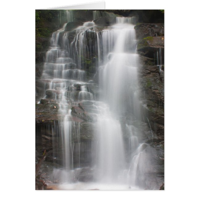 Soco-Herfsten (Voorkant)