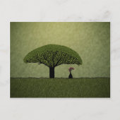 Socotra Briefkaart (Voorkant)