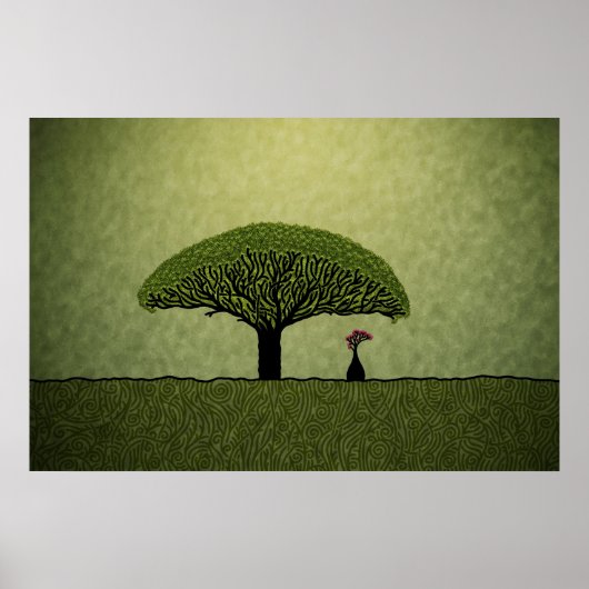 Socotra Poster (Voorkant)