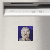 SOCRATES MAGNEET (Insitu (Vaatwasser))