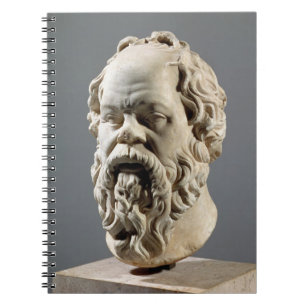 SOCRATES, marmerkop, kopie van een brons van de Notitieboek