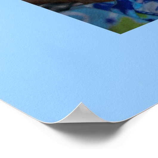 SOCRATES POSTER (Hoek)