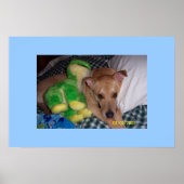 SOCRATES POSTER (Voorkant)