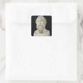 SOCRATES VIERKANTE STICKER (Tas)