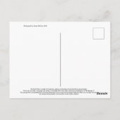 Soda Dam Briefkaart (Achterkant)