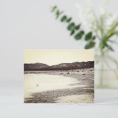 Soda Lake Carrizo Plain California Briefkaart (Staand voorkant)