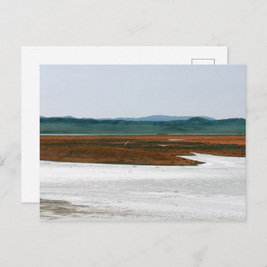 Soda Lake, Carrizo Plain National Monument CA Briefkaart (Voorkant / Achterkant)