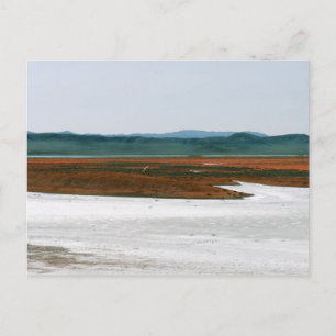 Soda Lake, Carrizo Plain National Monument CA Briefkaart