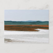Soda Lake, Carrizo Plain National Monument CA Briefkaart (Voorkant)