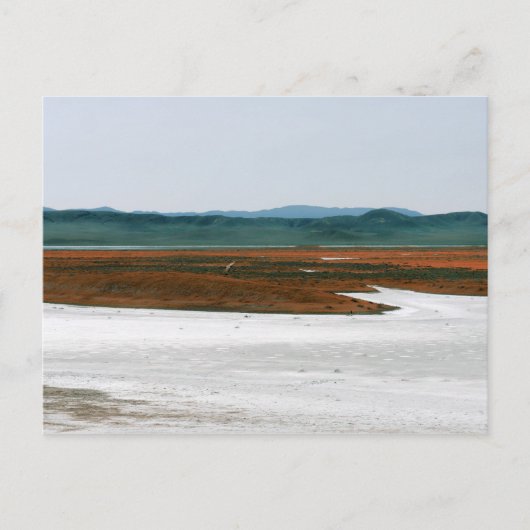 Soda Lake, Carrizo Plain National Monument CA Briefkaart (Voorkant)