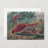 Soemmerring's fazant door Joseph Wolf Briefkaart (Voorkant / Achterkant)