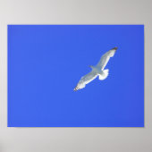 Soep Poster (Voorkant)