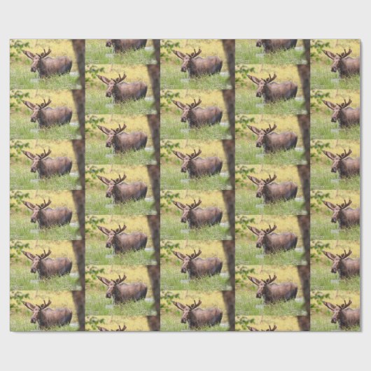 soepel omslagpapier cadeaupapier (Vlak)