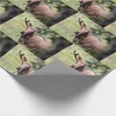 soepel omslagpapier cadeaupapier (Hoek)