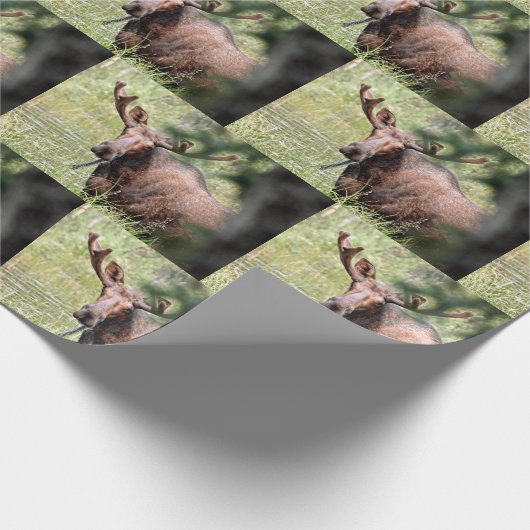 soepel omslagpapier cadeaupapier (Hoek)