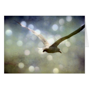 Soepelend zeemleder Alle Occasies