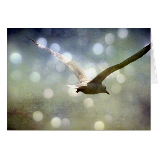 Soepelend zeemleder Alle Occasies (Voorkant Horizontaal)