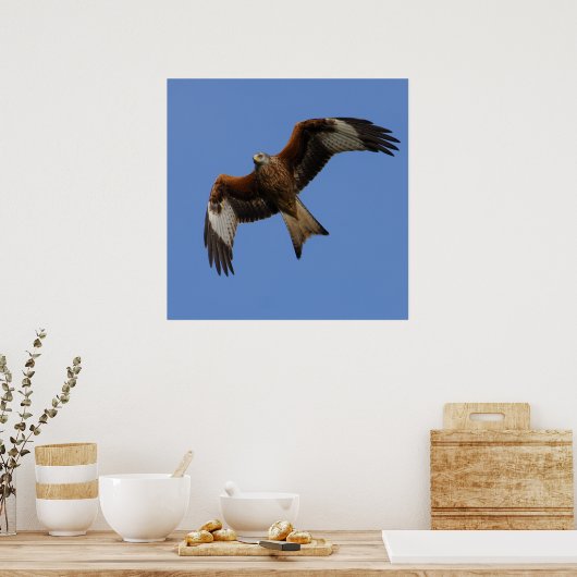 Soevere rode kite afdrukken poster (Keuken)