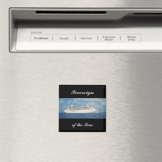 Soevereine magneet SOV2 (Insitu (Vaatwasser))