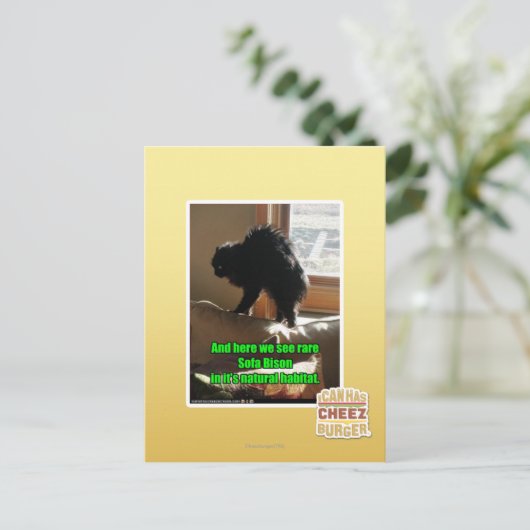 Sofa Bison Briefkaart (Staand voorkant)