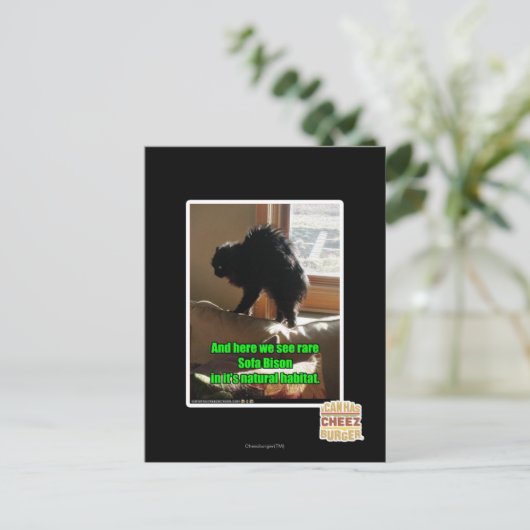 Sofa Bison Briefkaart (Staand voorkant)