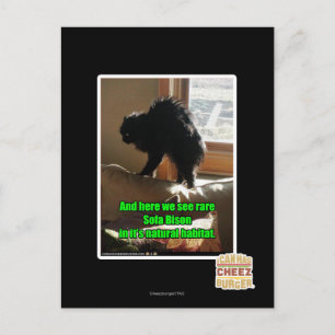 Sofa Bison Briefkaart