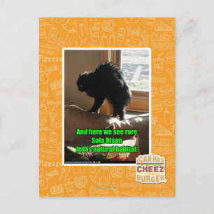 Sofa Bison Briefkaart