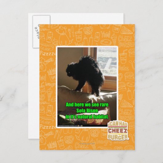 Sofa Bison Briefkaart (Voorkant / Achterkant)