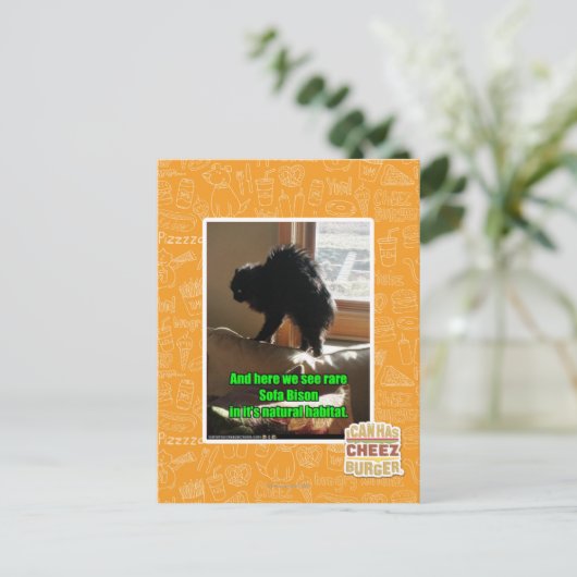 Sofa Bison Briefkaart (Staand voorkant)