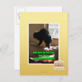 Sofa Bison Briefkaart (Voorkant / Achterkant)