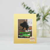 Sofa Bison Briefkaart (Staand voorkant)