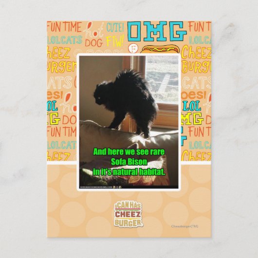 Sofa Bison Briefkaart (Voorkant)