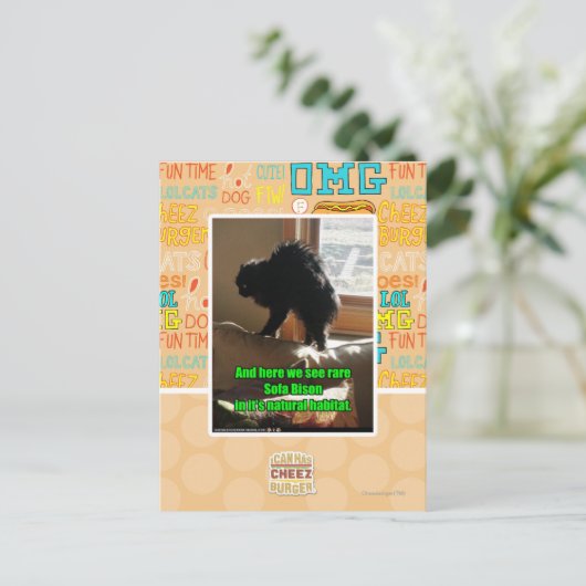 Sofa Bison Briefkaart (Staand voorkant)