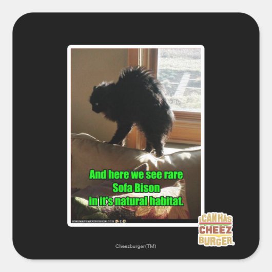 Sofa Bison Vierkante Sticker (Voorkant)